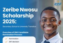 Zeribe Nwosu Scholarship 2025 for Secondary School Students