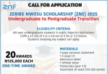 Zeribe Nwosu Scholarship 2025 for Undergraduates