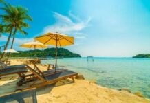 Jamb 2025 Runz , 2025 Runz Jamb 2025 expo, Jamb 2025 Runz