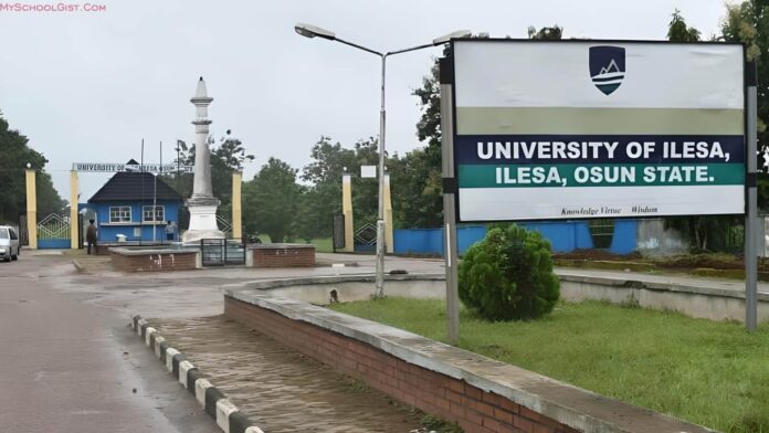 Apply for Chinese Studies at the University of Ilesa